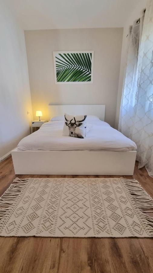 Villa Gal Eilat Dış mekan fotoğraf